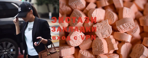 шишки Аркадак
