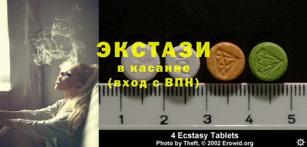 индика Елабуга