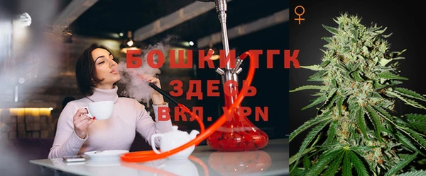 прущая мука Арсеньев