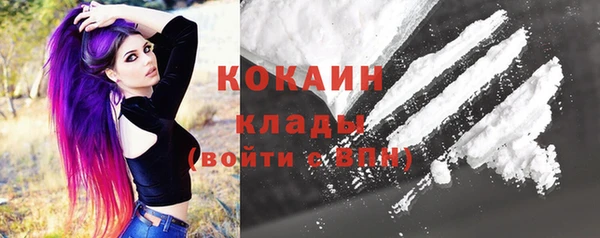 шишки Аркадак
